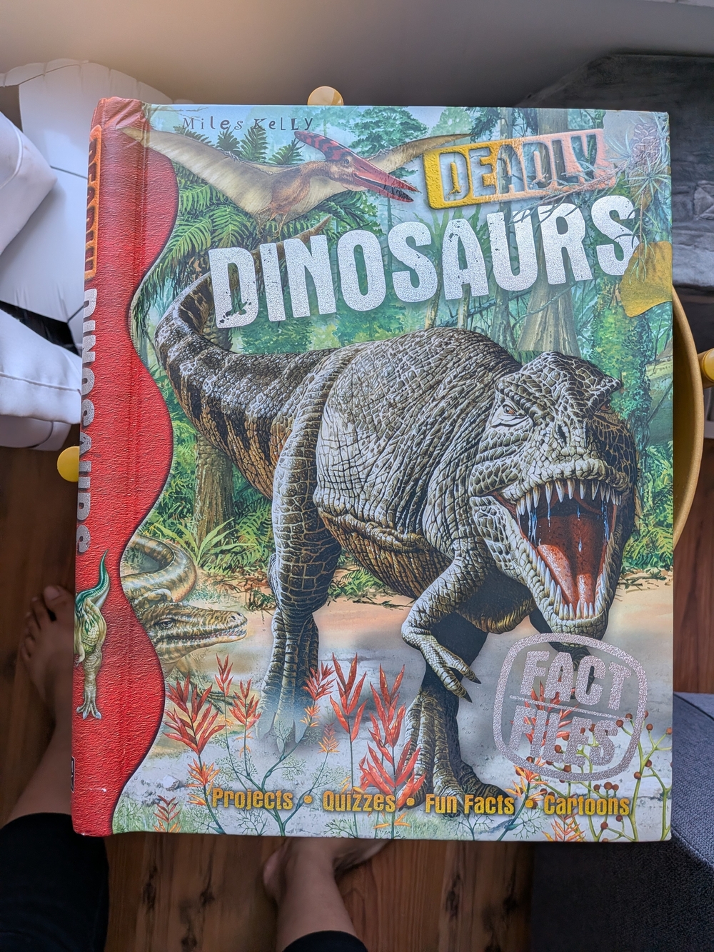 Deadly Dinosaurs Hardcover  Illustrated Book For Kids